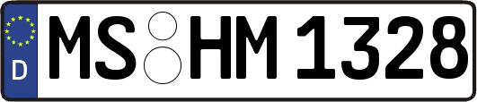 MS-HM1328