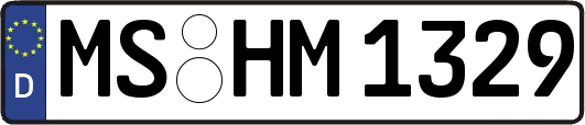 MS-HM1329