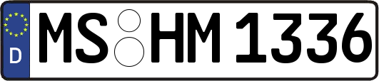 MS-HM1336