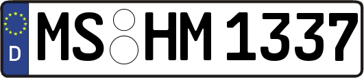 MS-HM1337