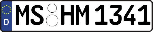 MS-HM1341