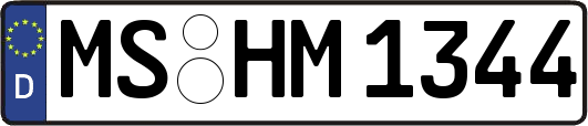 MS-HM1344