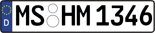 MS-HM1346