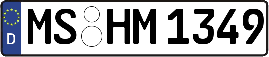 MS-HM1349
