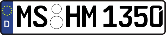 MS-HM1350