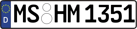 MS-HM1351