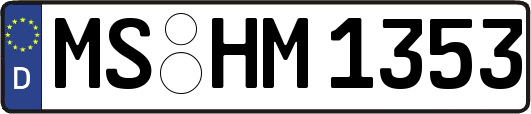 MS-HM1353