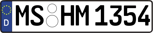 MS-HM1354