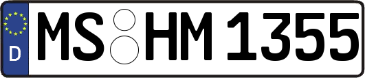 MS-HM1355