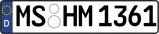 MS-HM1361