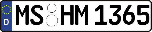 MS-HM1365