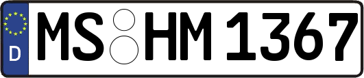 MS-HM1367