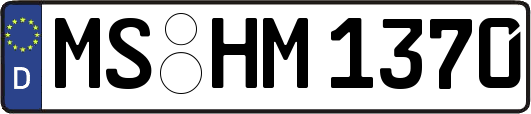 MS-HM1370