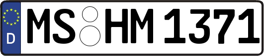 MS-HM1371