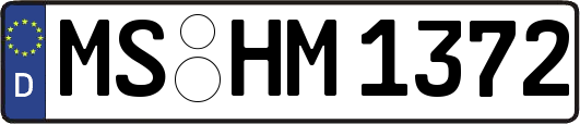 MS-HM1372