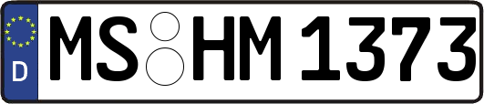 MS-HM1373