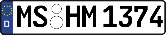MS-HM1374