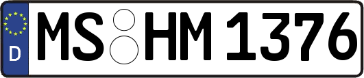 MS-HM1376