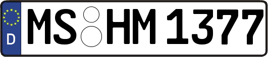 MS-HM1377