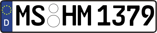 MS-HM1379