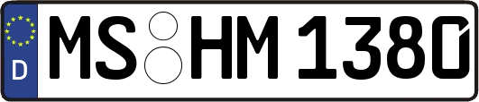MS-HM1380