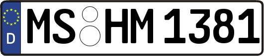 MS-HM1381