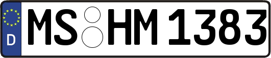 MS-HM1383