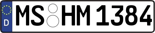MS-HM1384
