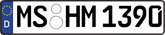 MS-HM1390