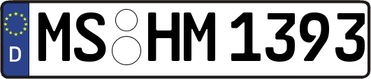 MS-HM1393