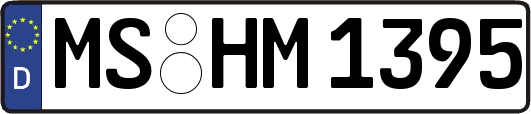 MS-HM1395