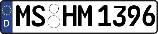 MS-HM1396
