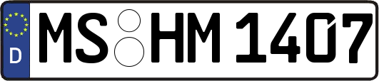 MS-HM1407
