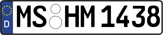 MS-HM1438