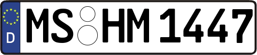 MS-HM1447