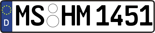 MS-HM1451