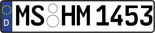 MS-HM1453