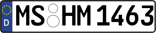 MS-HM1463