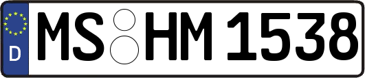 MS-HM1538