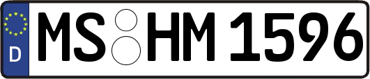 MS-HM1596