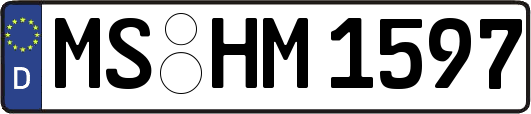 MS-HM1597