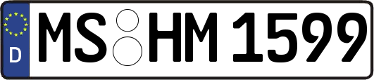 MS-HM1599