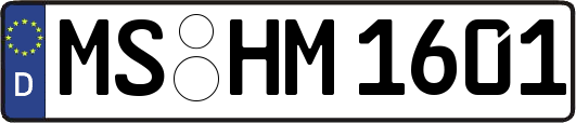 MS-HM1601