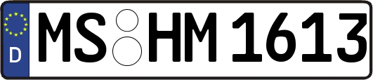 MS-HM1613
