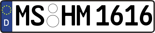 MS-HM1616