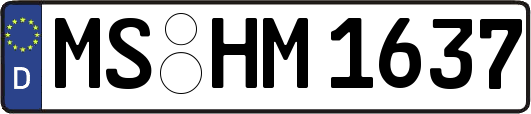 MS-HM1637