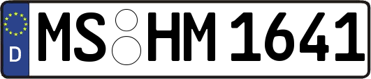 MS-HM1641
