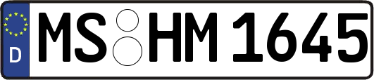 MS-HM1645