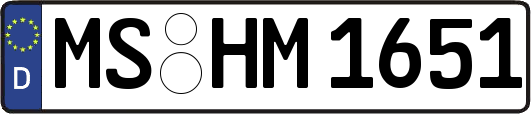 MS-HM1651