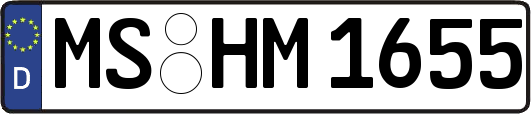 MS-HM1655